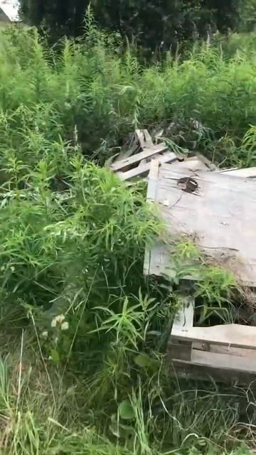 Сжигаем мусор смотреть онлайн