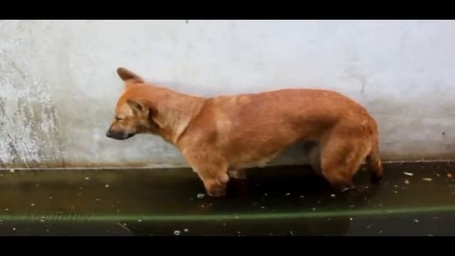 Что ж Ты так mpeg2video смотреть онлайн