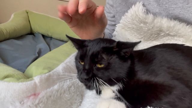 04-02-2025 смотреть онлайн