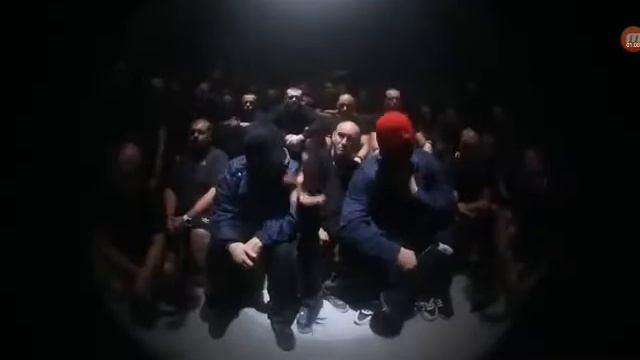 Грибы копы