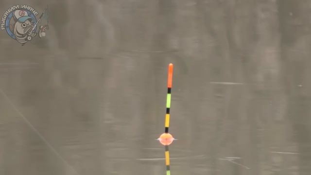 ЭТО МОЁ МЕСТО и ТУТ БУДУ РЫБАЧИТЬ Я! Рыбак выгнал блогера?! Рыбалка 2024 смотреть онлайн