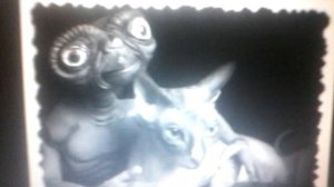 Тайна котек - коты нло