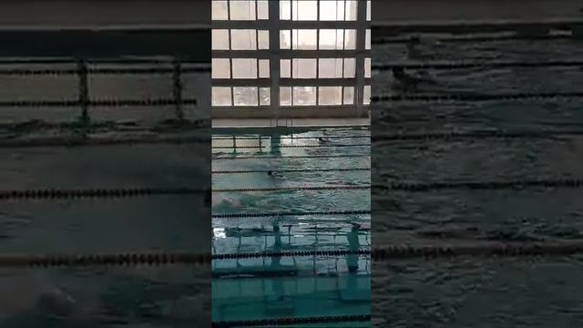 170224 Дети Воды Барнаул 50м бат 7дор Оськина Александра 2015 51сек 2юн 2 место смотреть онлайн