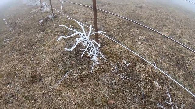 МИНУС 50 ХОЛОДНО И ГОЛОДНО #Shorts смотреть онлайн