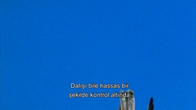 Gökyüzünün Hükümdarları: En İyi Avcı Kuşlar | Vahşi Sessizlik смотреть онлайн