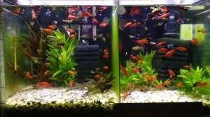 Детский сад