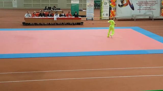 2й турнир Первого Новолуния (Минск 27.01.18)Таолу смотреть онлайн