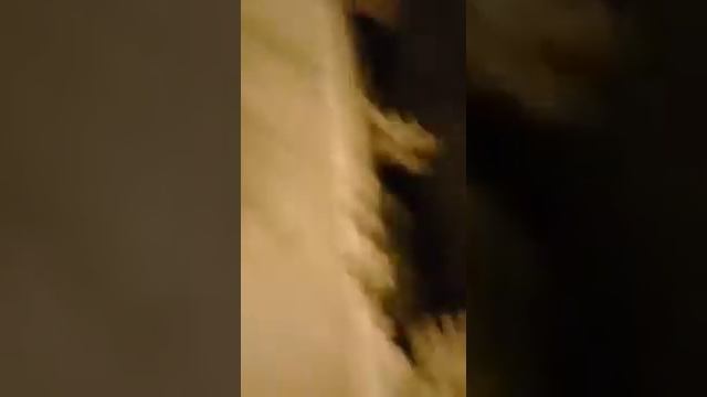 Нло над бабаюртом/ Нло в Дагестане/ НЛО