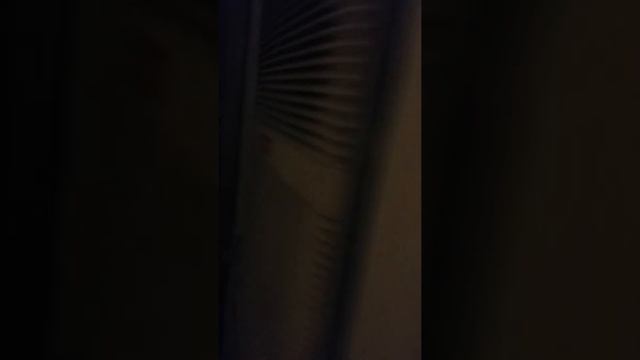 My wall scroll and posters setup as of June 15th, 2020 смотреть онлайн