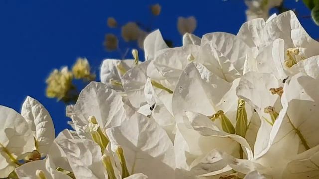 Ритуалы - онлайн на весеннее равноденствие. К Спиридону - солнцевороту. 1. Повернуть трудное дело.