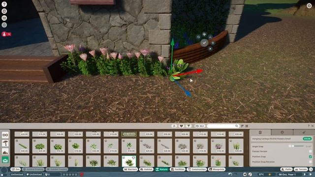 Luna Realm | Town Hall | Planet Zoo смотреть онлайн