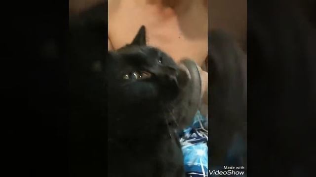 Почесухи! смотреть онлайн