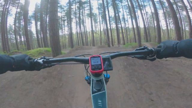 Sherwood Pines MTB Best Bits - Focus Jam2 6.8 Nine.