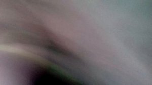 Припять опасная зона
