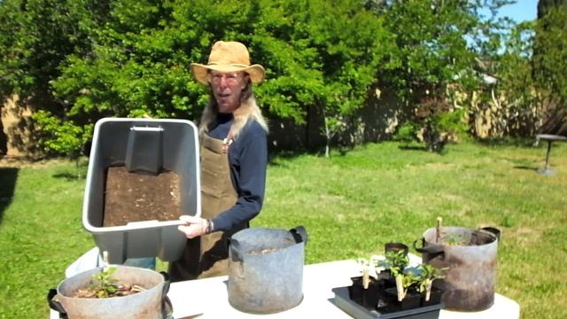 What is the best potting soil  mix for container gardening tomato and pepper plants?