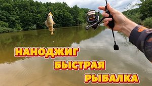 Наноджиг. Быстрая рыбалка.