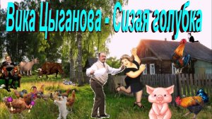 Вика Цыганова - Сизая голубка