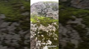 Воронцовский дворец. Крым.
