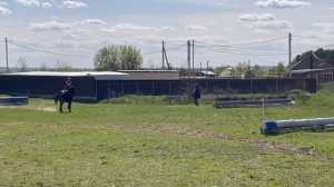 кросс троеборье конный спорт