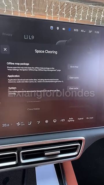 Очистка кэша в #lixiang #li9 #li7 #L9 #L7 #lixiangforblondes #li6 #l6 #li8 #l8 смотреть онлайн