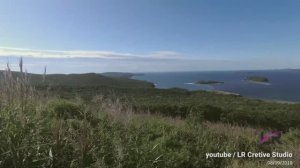 На грибалку