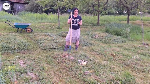 Sadnja TIKVE u TRAVI смотреть онлайн