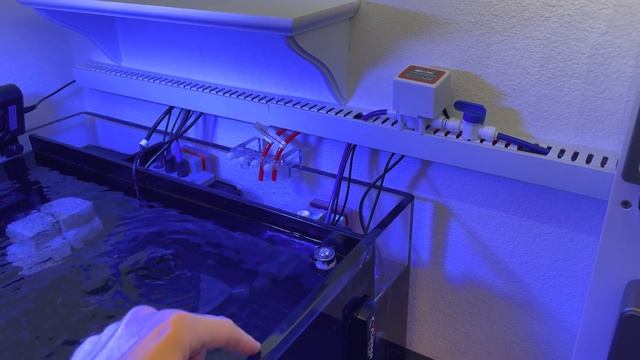 Red Sea Reefer 525 XL W/ Neptune Apex - Tour смотреть онлайн