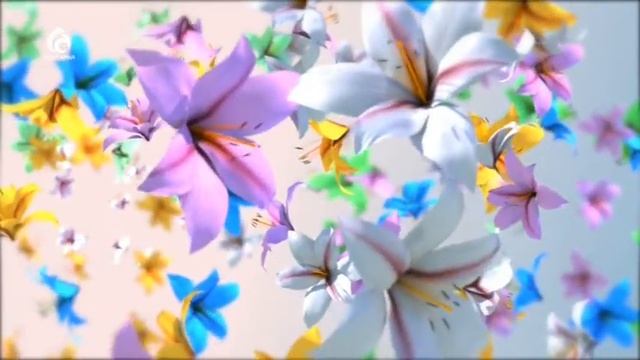 Начало эфира после профилактики канала Асыл Арна (Казахстан). 17.04.2017 смотреть онлайн