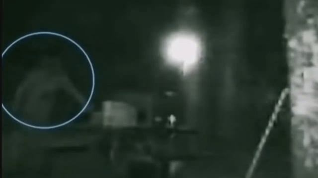 Сенсация!!! Снежный человек реально существует! Редкие кадры смотреть онлайн