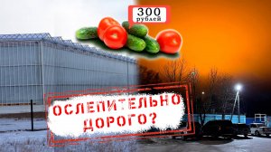 НОВОСТИ КАМЧАТКИ: ОСЛЕПИТЕЛЬНО ДОРОГО?