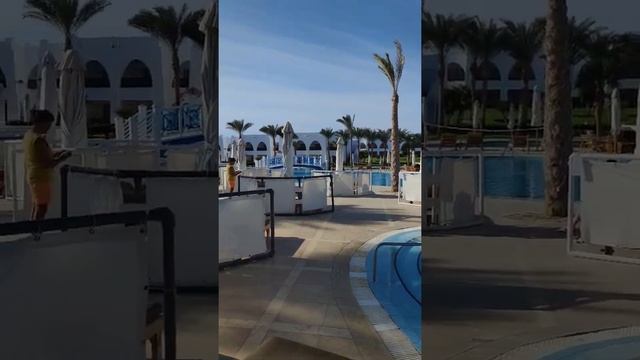 Hilton Marsa Alam Nubian Resort Main pool shorts