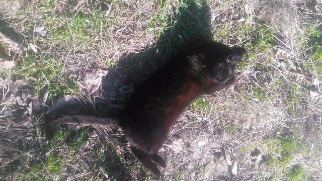 VID_20250130_122601
