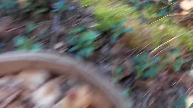 ОПЯТЬ ОПЯТА смотреть онлайн