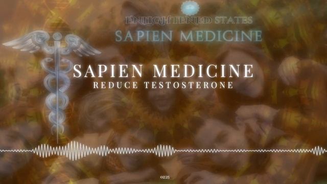 Regulate Hormones (Reduce Testosterone and DHT, Energetically Programmed Audio) by Sapien Medicine