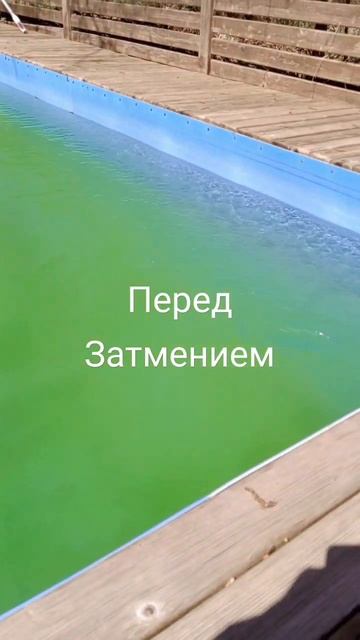 Перед затмением наполнить тело солнечной энергией #shorts #апраксиналада #затмение #солнце