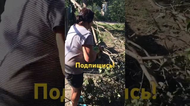 Сабельная пила в работе! Женщина с пилой - страшная сила! Сабельная пила аккумуляторная. смотреть онлайн