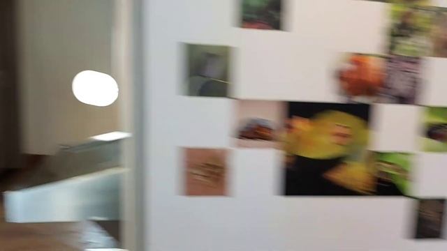 The Green Planet Dubai || Travel vlog 8 || City walk || Dubai смотреть онлайн