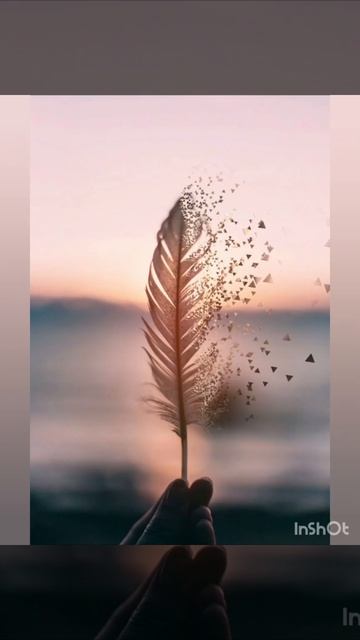 Видео для вдохновения и релакса. Красивые картинки. смотреть онлайн