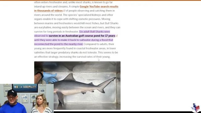 Freshwater SHARKS: New Fear UNLOCKED! - We Go Fishing Live - Ep. 12 смотреть онлайн