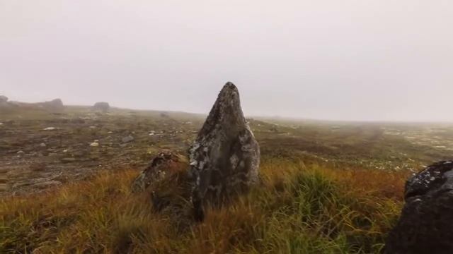 Мир сот. Красоты природы. смотреть онлайн