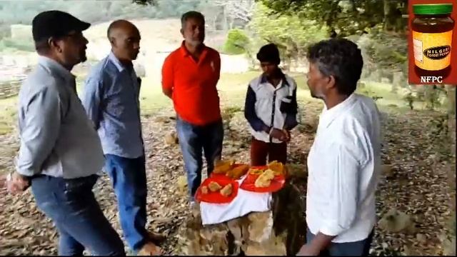 Nilgiri Forest Honey смотреть онлайн