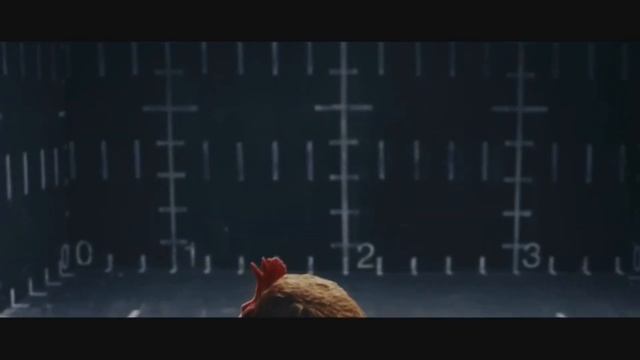 "Музыка Һүнмә" тәҡдим итә - Тауыҡ смотреть онлайн