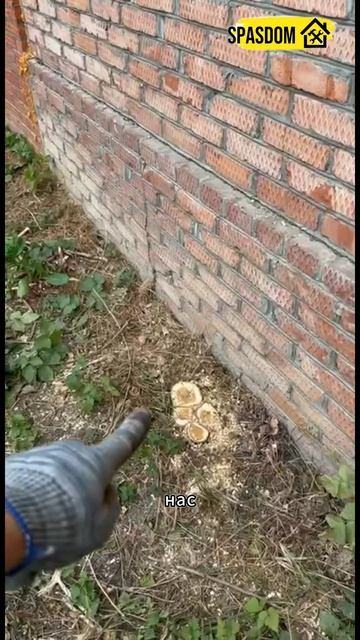 Усиление фундамента нужно делать?Стяжка дома от трещин89384620642 #аварийныйдом #ремонт #стяжка