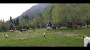Супер отдых, Курджиново-Азиатский, ручей самая чистая вода в мире, заброшенный лагерь в лесу в гора
