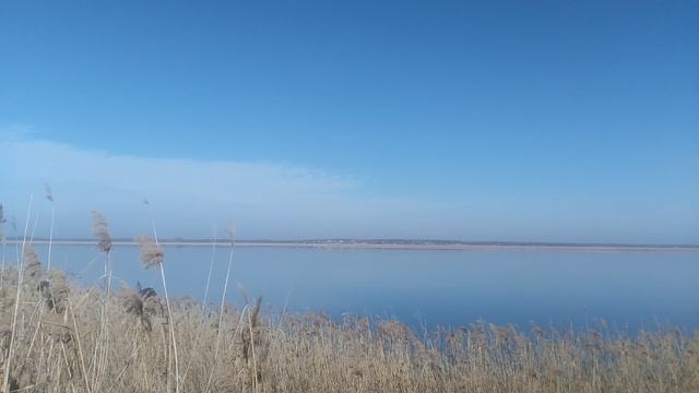 VID_20250130_123552