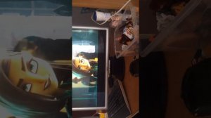 Камуфляж и шпинаж