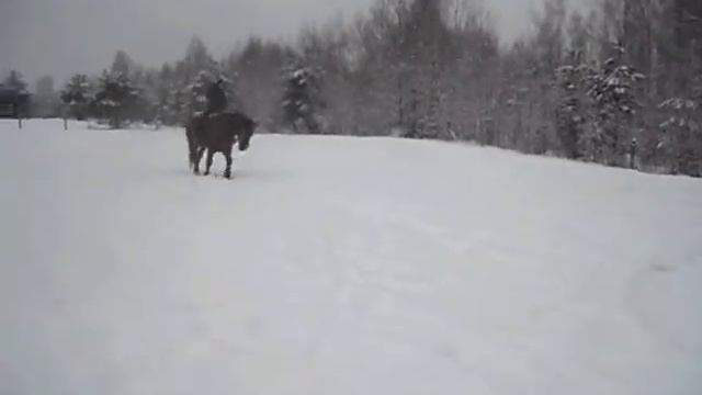 Марс Занятия зимой 2014 на кругах смотреть онлайн