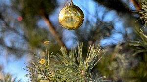 РОЖДЕСТВЕНСКОЕ ЧУДО - 2025