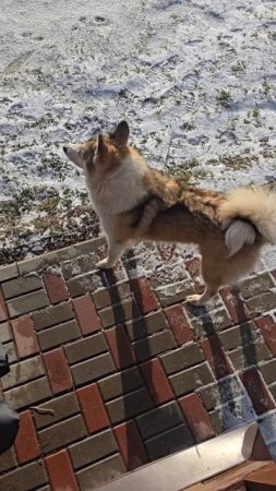Поговорим?