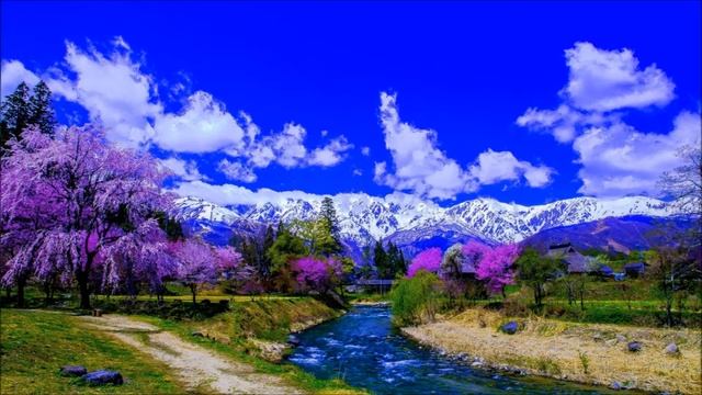 TERRA , planeta pe care traim ! смотреть онлайн